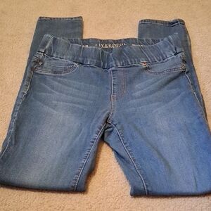 Liverpool Women's Classic Blue Jeggings